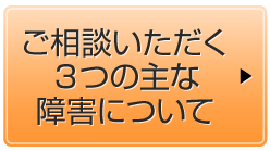 ご相談いただく３つの主な障害について