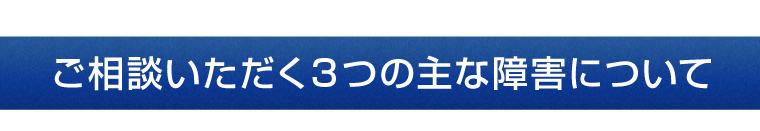 ご相談いただく３つの主な障害について