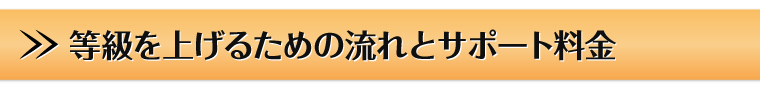 等級を上げるための流れとサポート料金