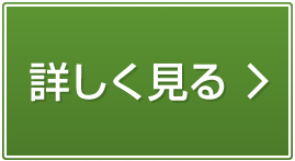 詳しく見る